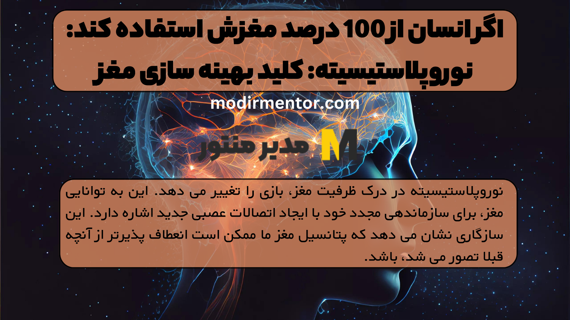 اگر انسان از 100 درصد مغزش استفاده کند: نوروپلاستیسیته: کلید بهینه سازی مغز