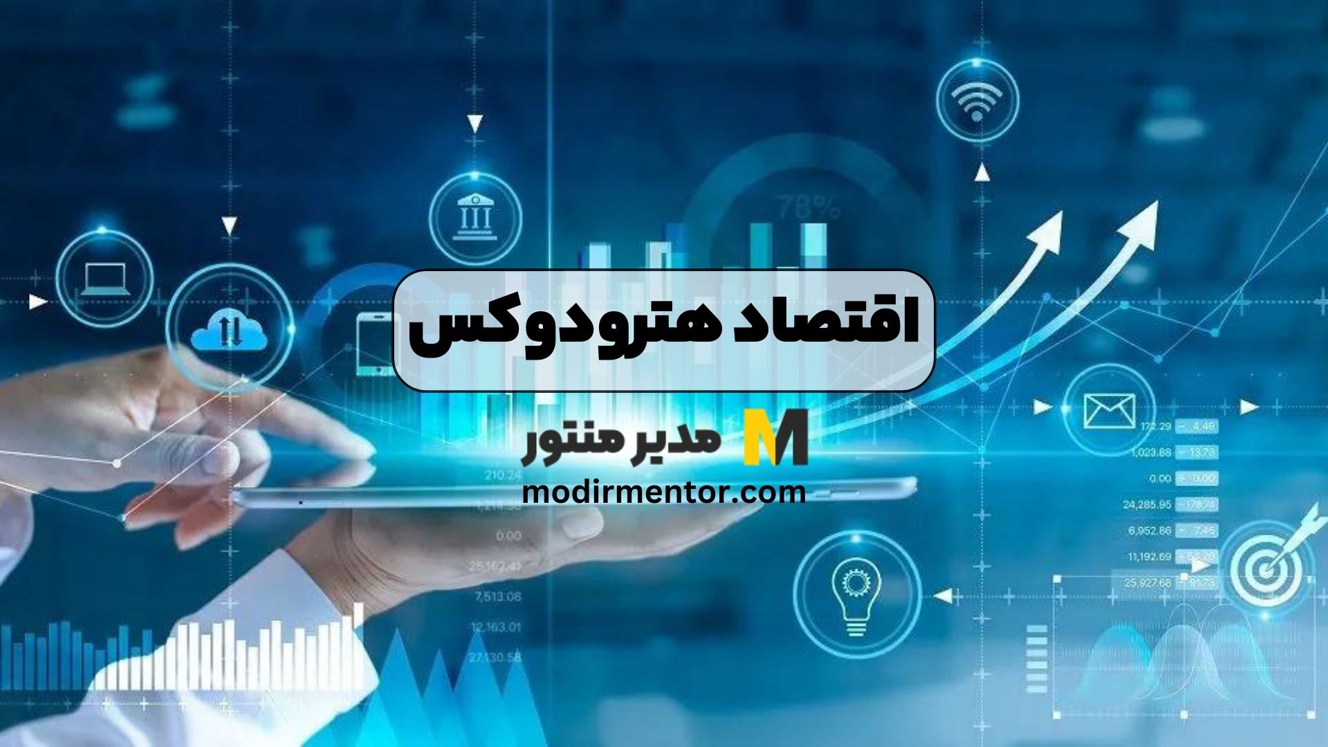 اقتصاد هترودوکس