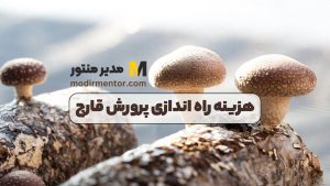 هزینه راه اندازی پرورش قارچ