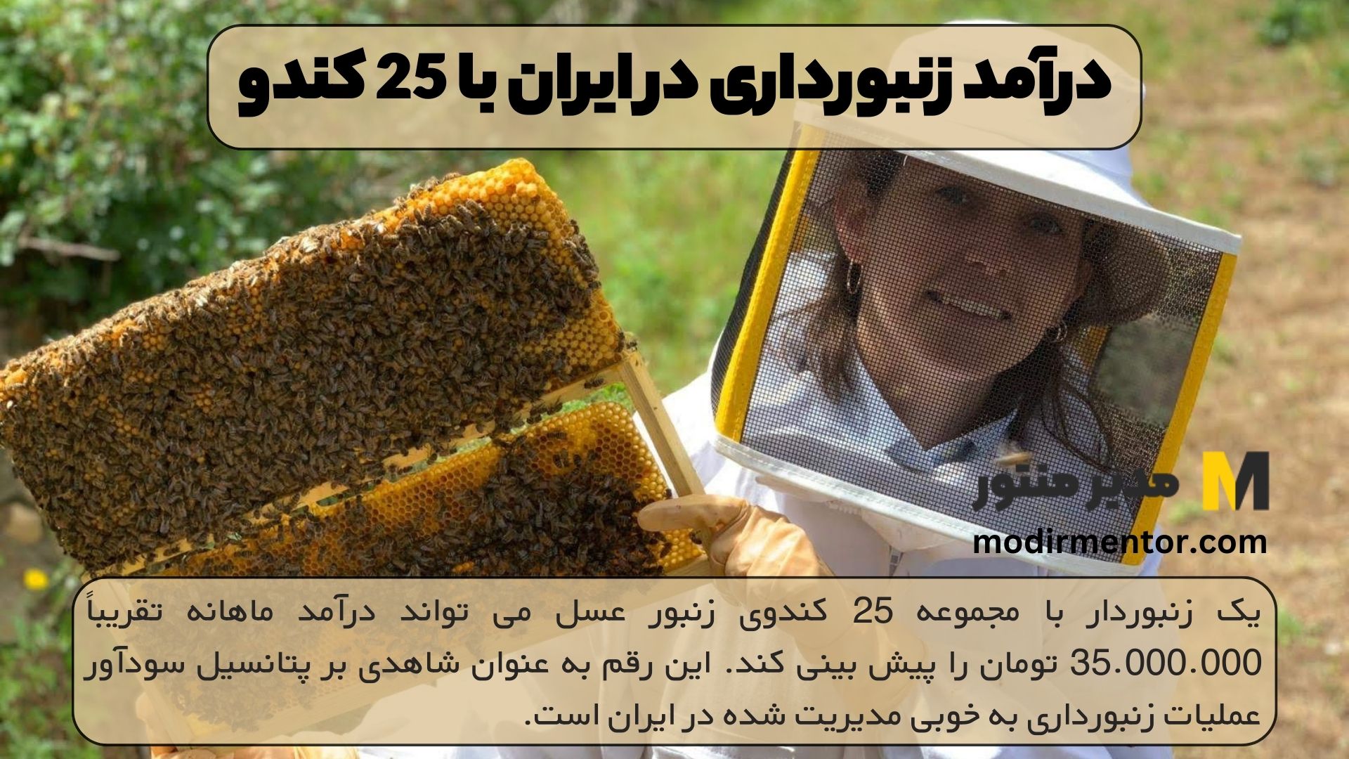 درآمد زنبورداری در ایران با 25 کندو