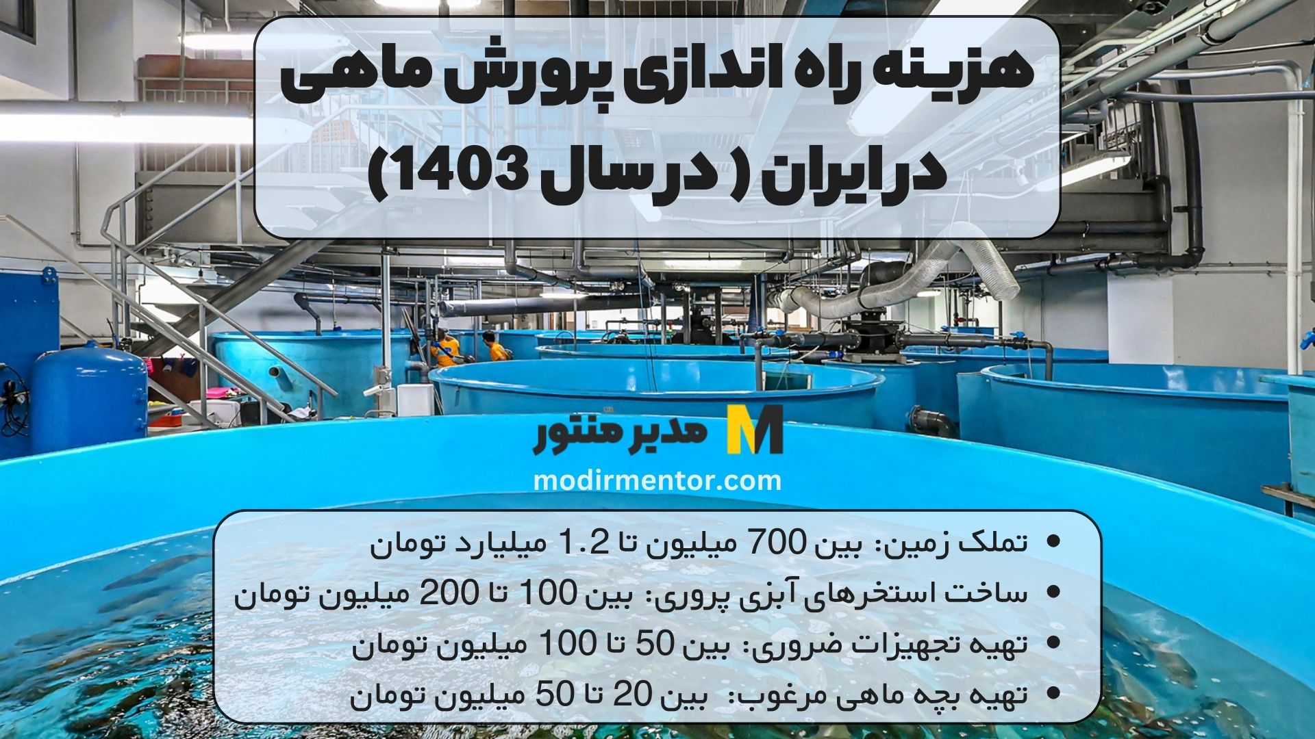 هزینه راه اندازی پرورش ماهی در ایران ( در سال 1403)