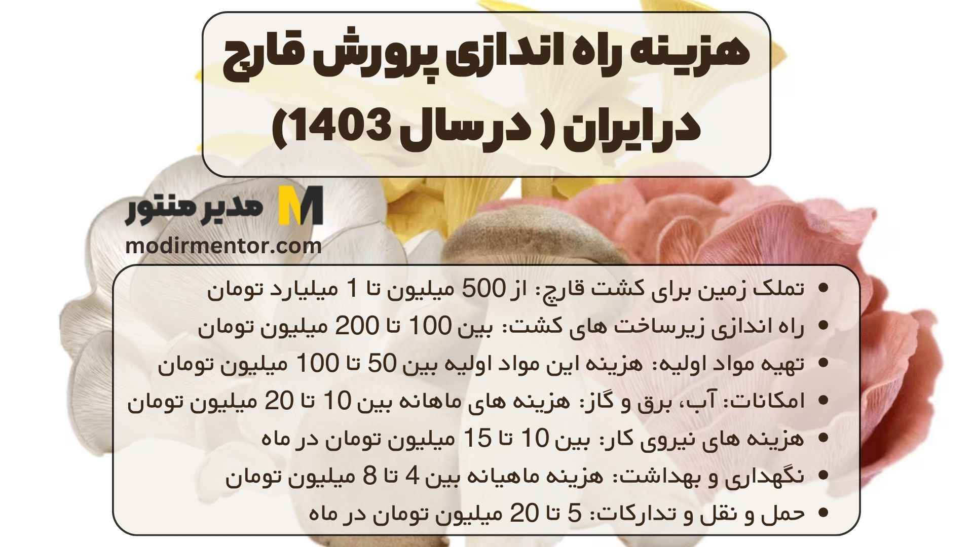 هزینه راه اندازی پرورش قارچ در ایران ( در سال 1403)