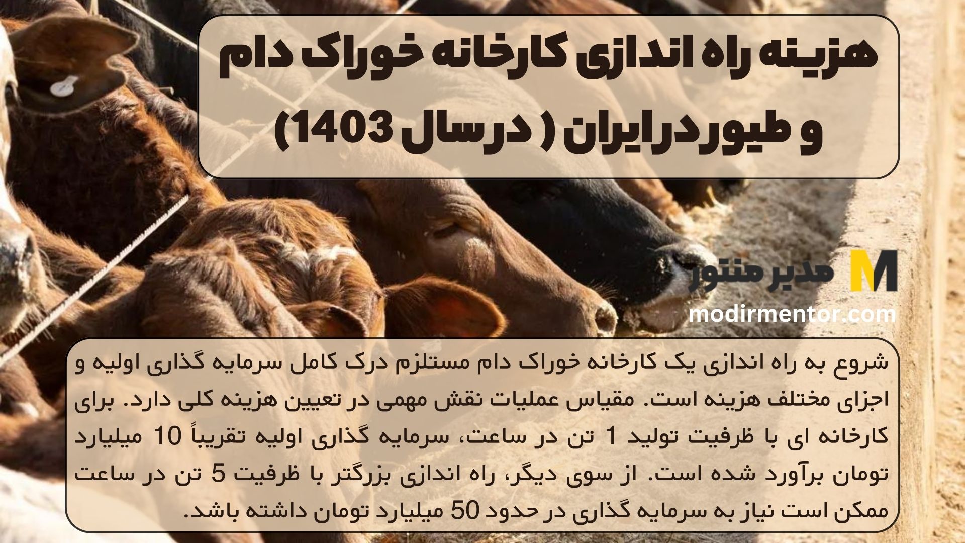 هزینه راه اندازی کارخانه خوراک دام و طیور در ایران ( در سال 1403)