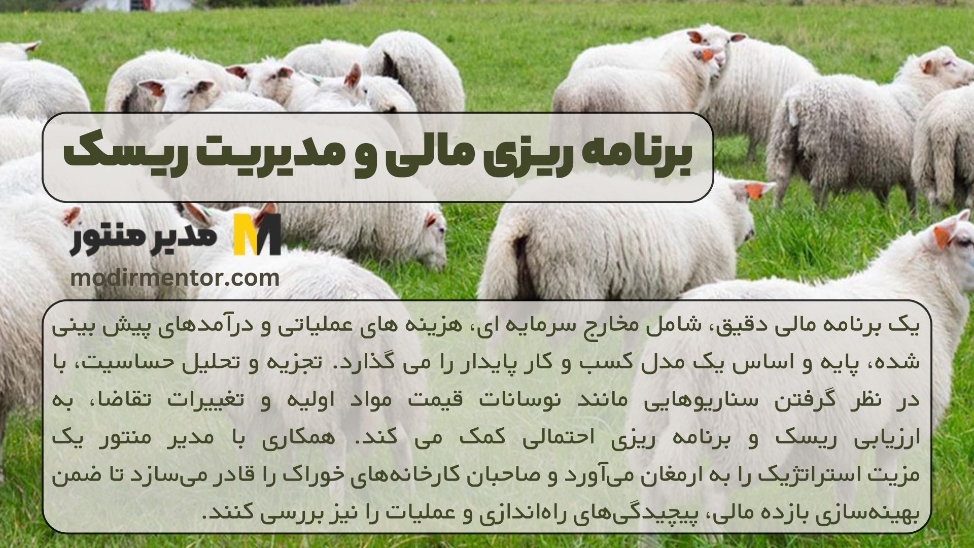 برنامه ریزی مالی و مدیریت ریسک