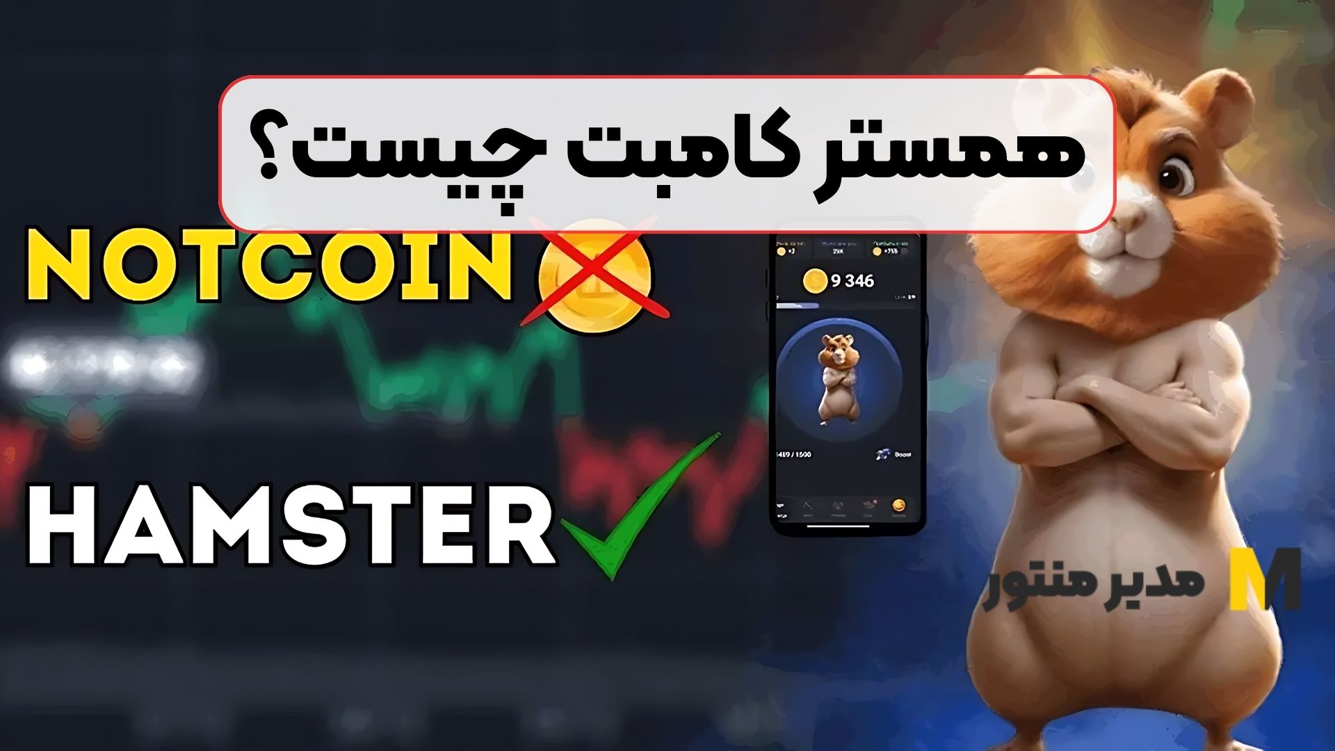 همستر کامبت چیست؟