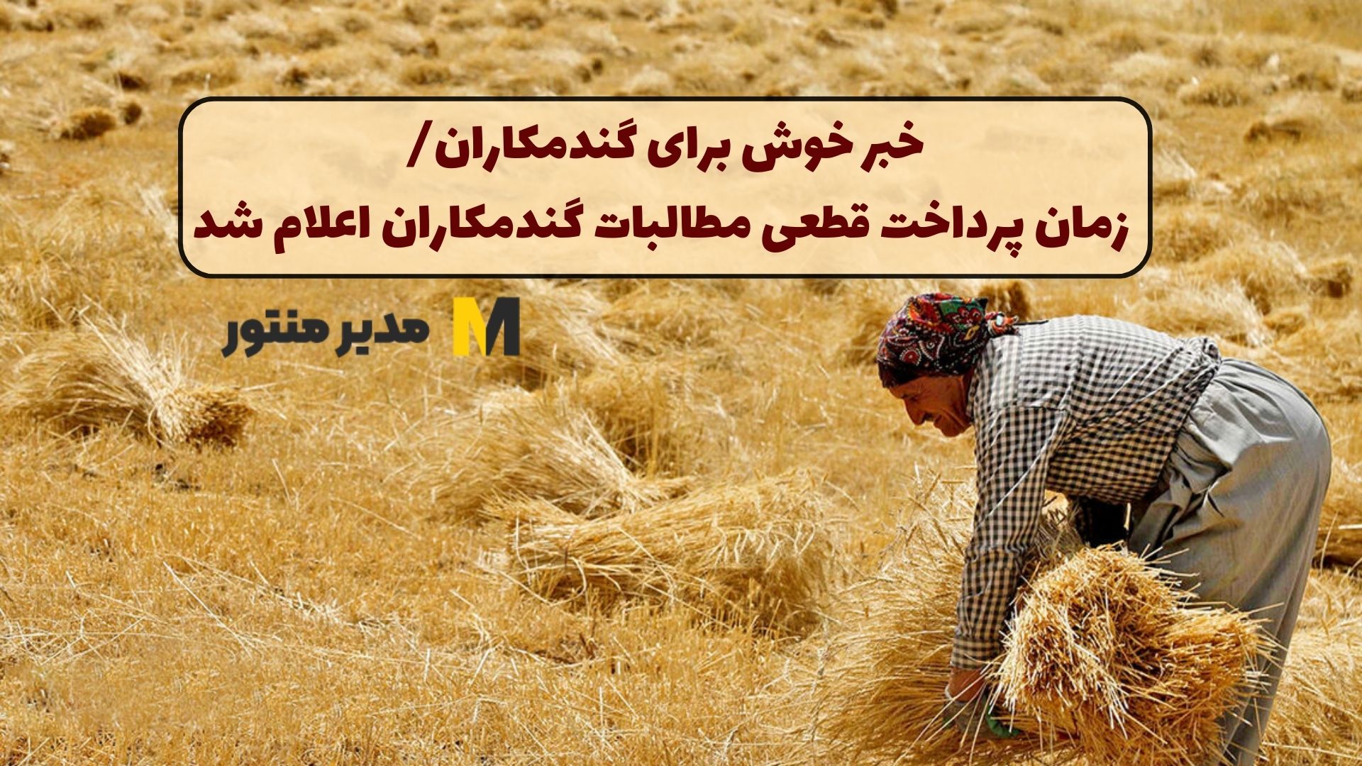 خبر خوش برای گندمکاران/ زمان پرداخت قطعی مطالبات گندمکاران اعلام شد