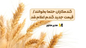 گندمکاران حتما بخوانند/ قیمت جدید گندم اعلام شد