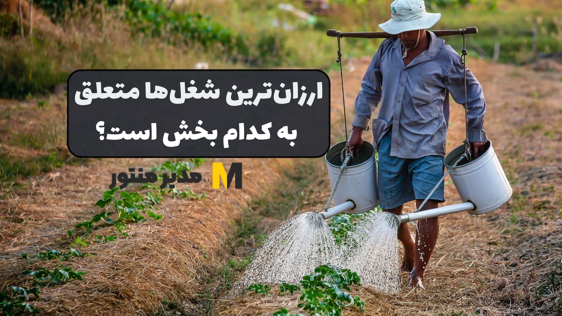 ارزان‌ترین شغل‌ها متعلق به کدام بخش است؟