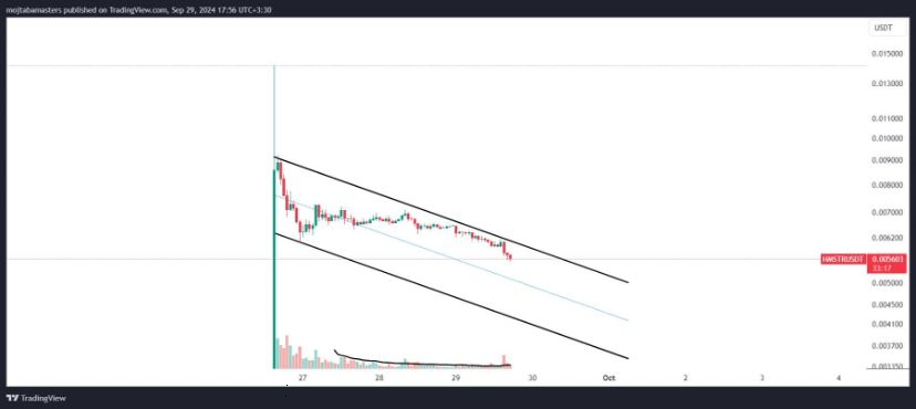 شیرجه همستر کامبت؛ قیمت HMSTR تا کجا کاهش پیدا می‌کند؟