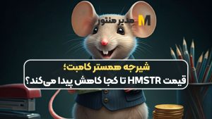 شیرجه همستر کامبت؛ قیمت HMSTR تا کجا کاهش پیدا می‌کند؟