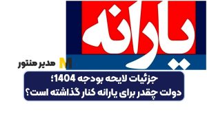 جزئیات لایحه بودجه 1404؛ دولت چقدر برای یارانه کنار گذاشته است؟