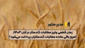 زمان قطعی واریز مطالبات گندمکار در آبان ۱۴۰۳/ امروز باقی‌ مانده مطالبات گندمکاران پرداخت می‌شود؟