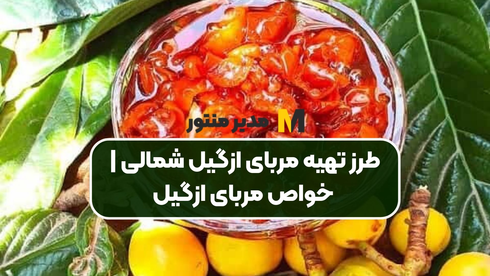 طرز تهیه مربای ازگیل شمالی | خواص مربای ازگیل