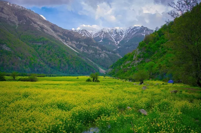 راهنمای سفر به دریاسر: نکات و ترفندها