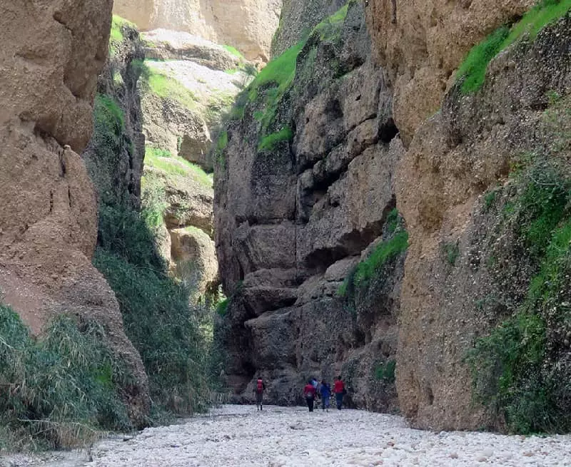 ویژگیهای منحصر به فرد کول خرسون
