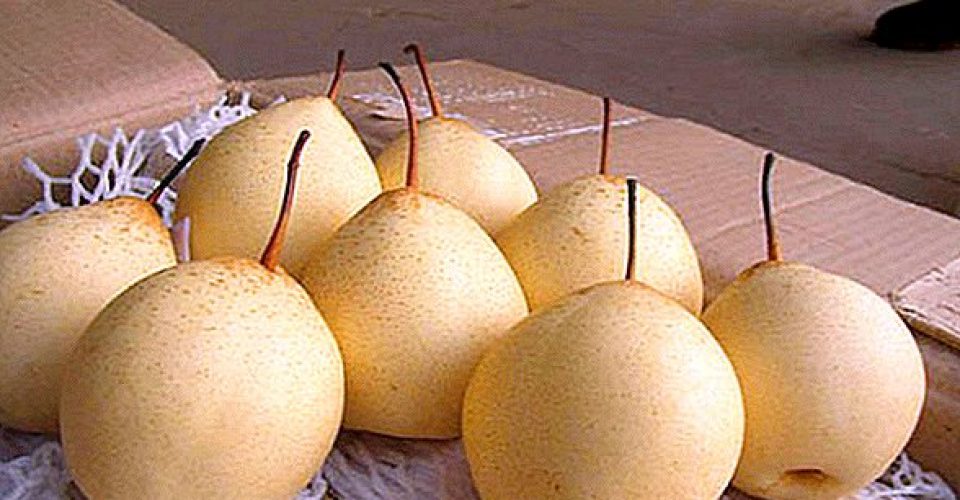 کالری گلابی چینی و ارزش غذایی آن