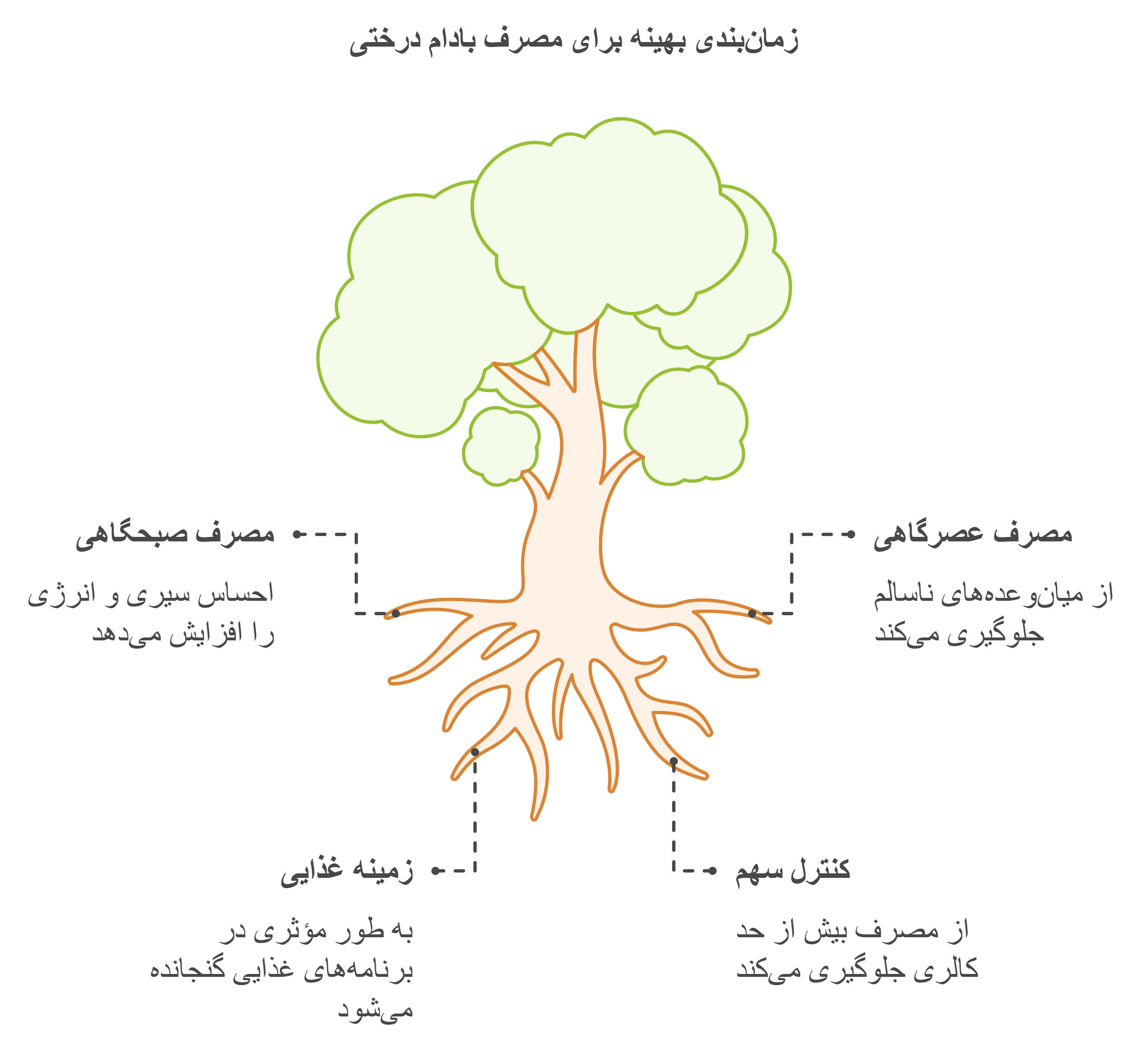 بهترین زمان مصرف بادام درختی برای کاهش وزن