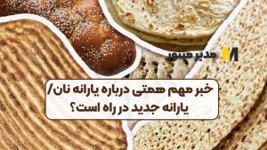 خبر مهم همتی درباره یارانه نان/ یارانه جدید در راه است؟