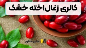 کالری زغال‌اخته خشک
