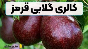 کالری گلابی قرمز