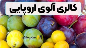 کالری آلوی اروپایی