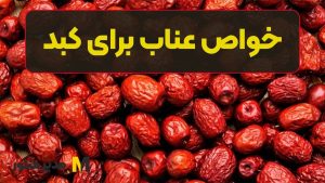 خواص عناب برای کبد