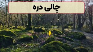 چالی دره