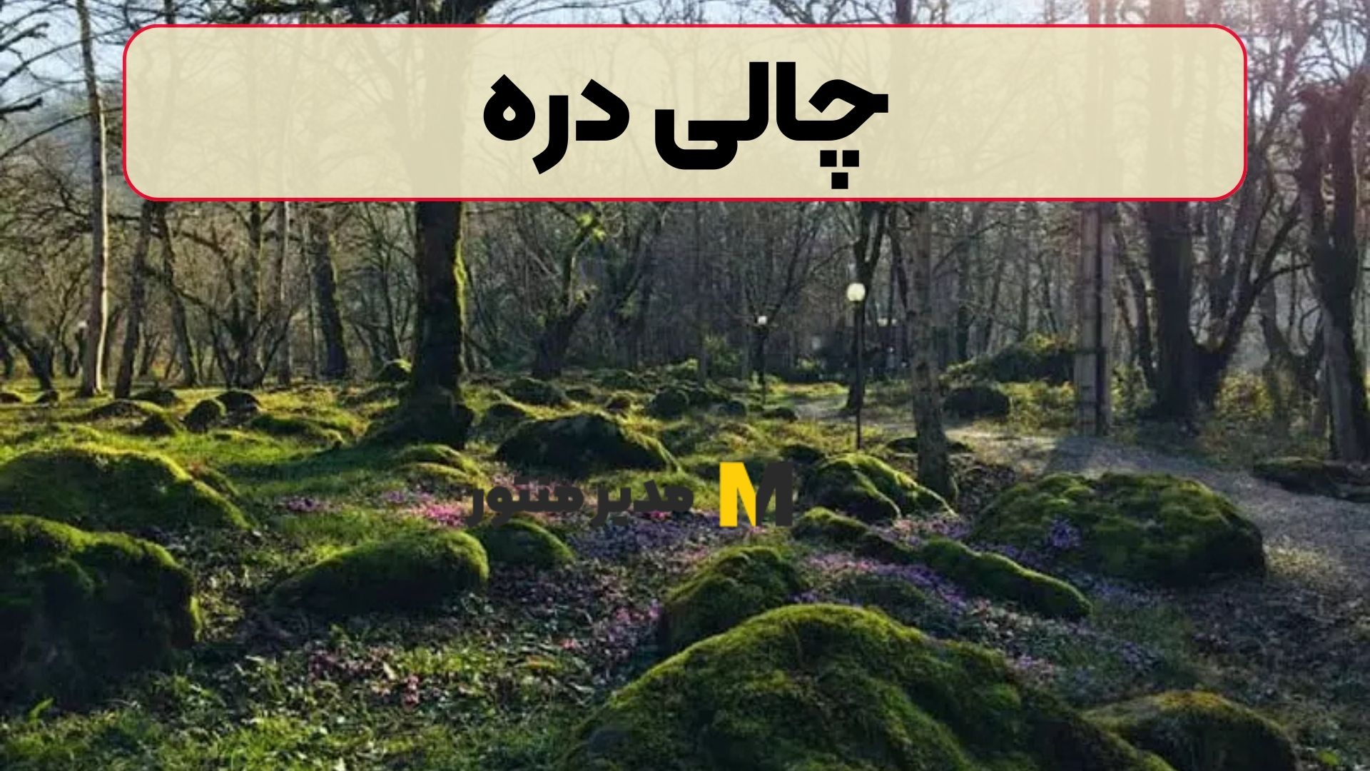 چالی دره