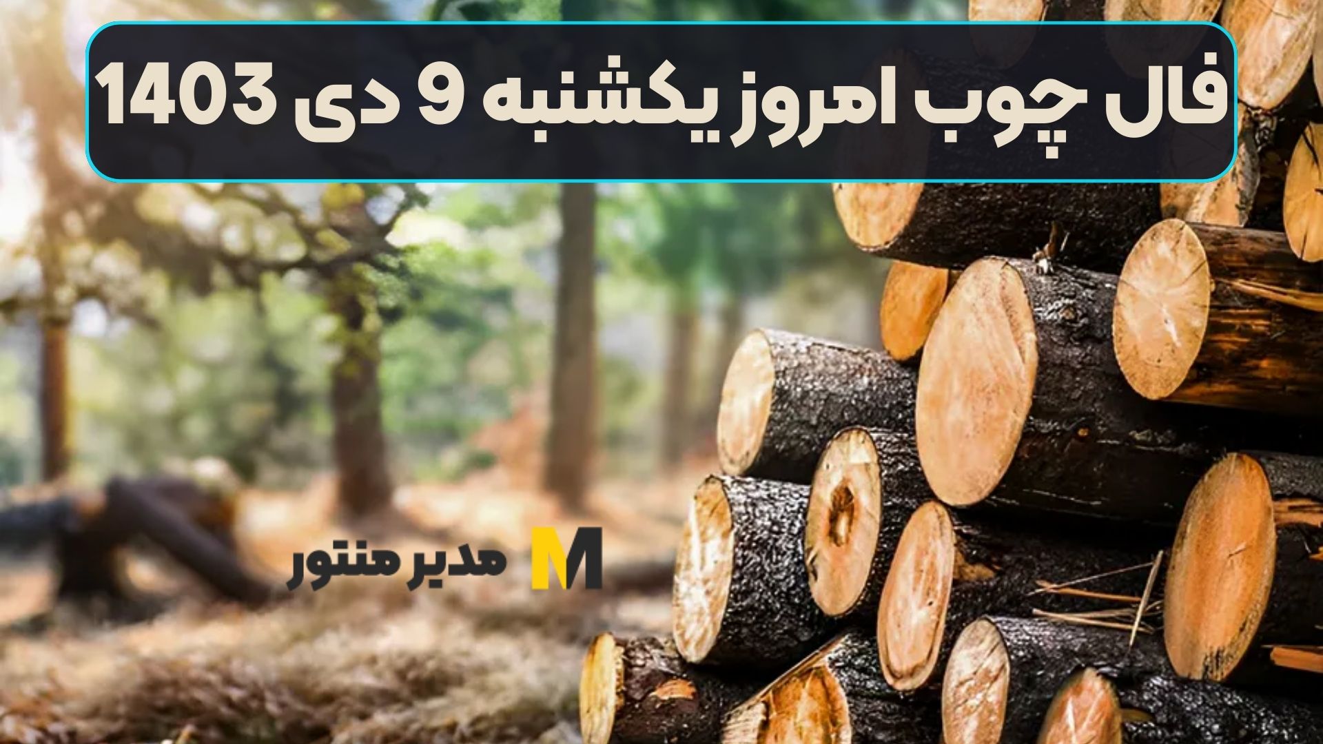 فال چوب امروز یکشنبه 9 دی 1403