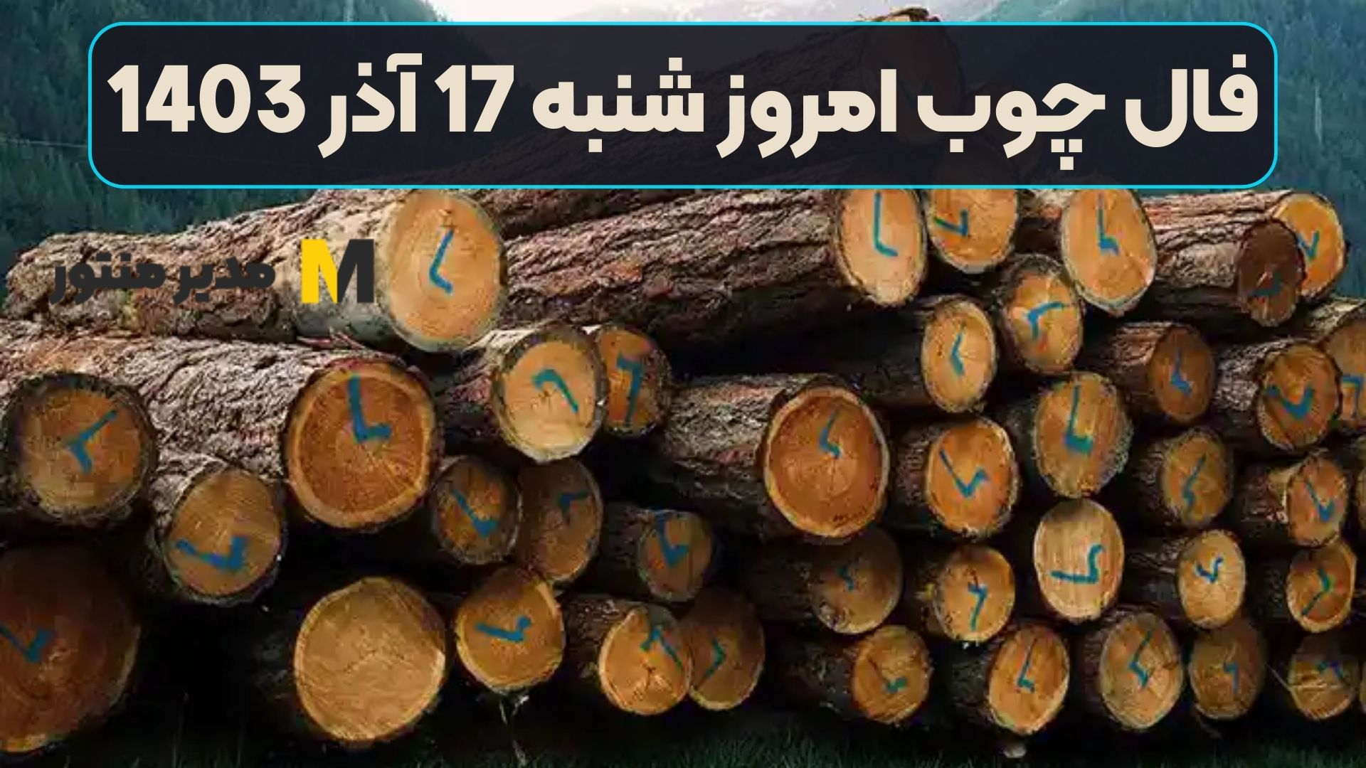 فال چوب امروز شنبه 17 آذر 1403