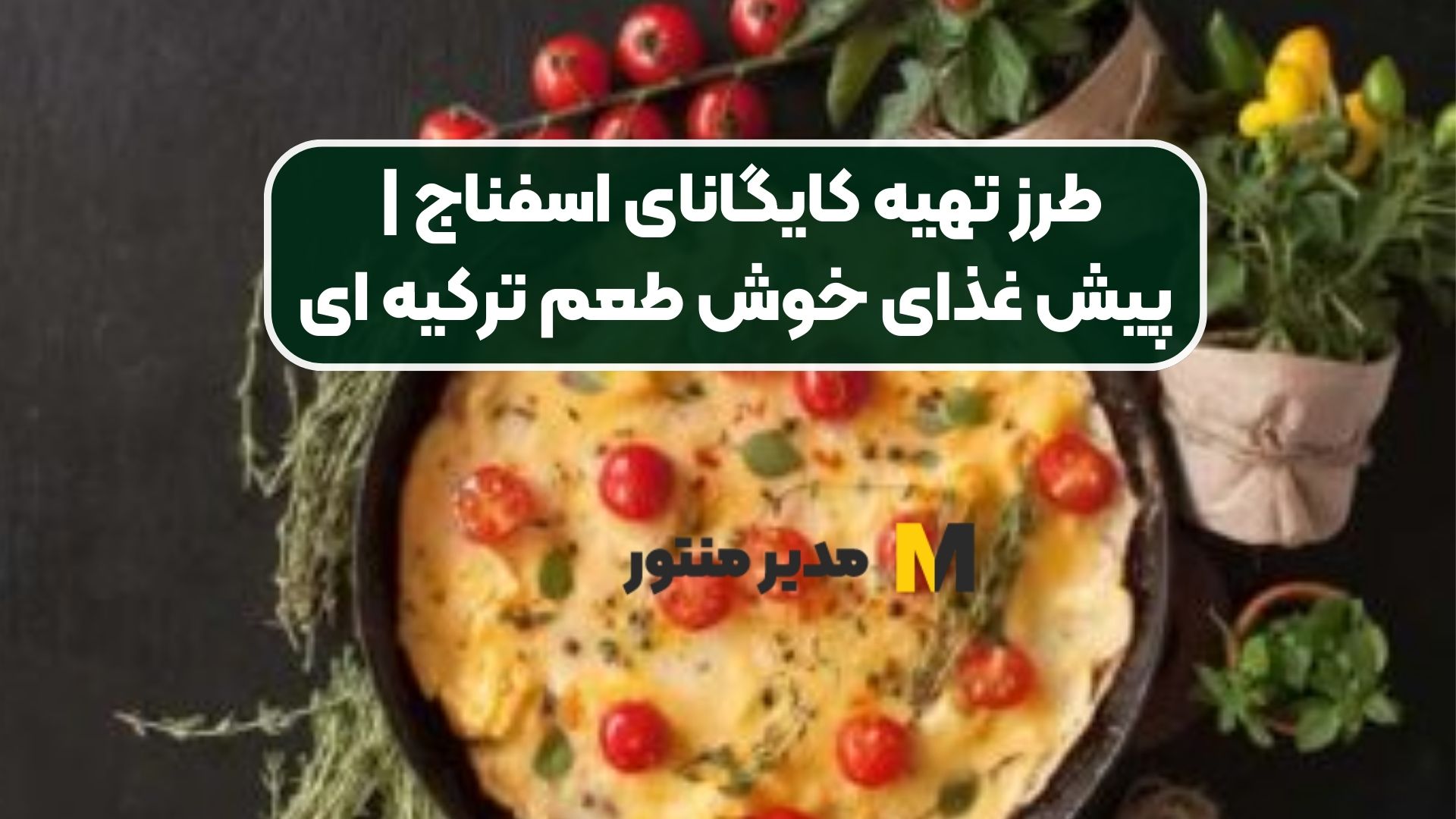 طرز تهیه کایگانای اسفناج | پیش غذای خوش طعم ترکیه ای