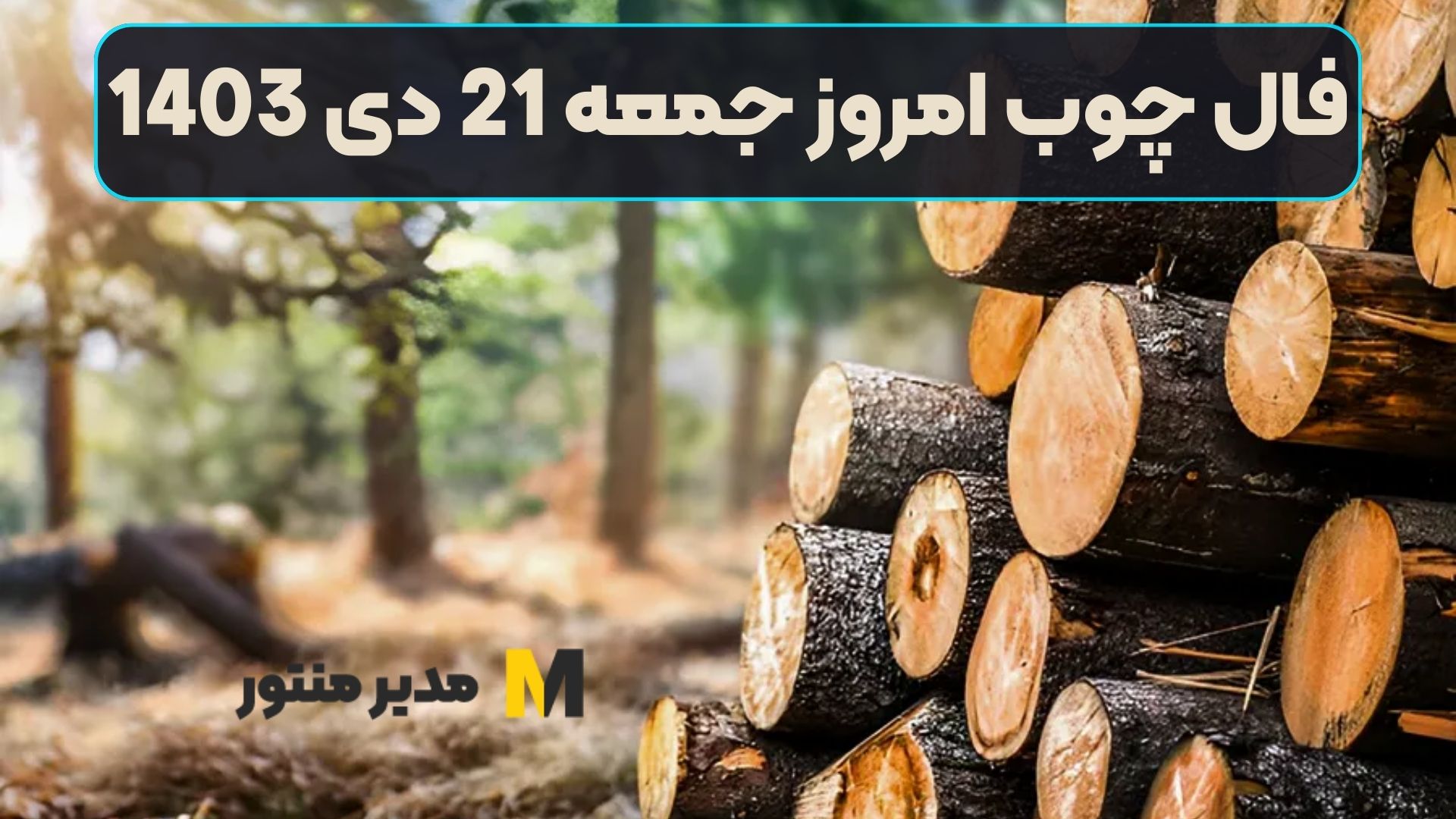 فال چوب امروز جمعه 21 دی 1403