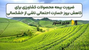 ضرورت بیمه محصولات کشاورزی برای کاهش بروز خسارت احتمالی ناشی از خشکسالی