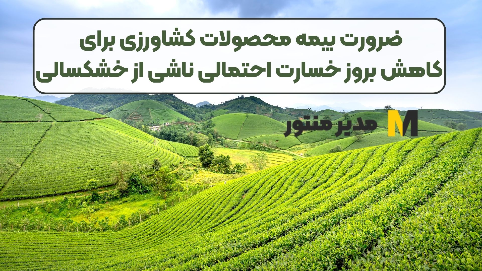 ضرورت بیمه محصولات کشاورزی برای کاهش بروز خسارت احتمالی ناشی از خشکسالی