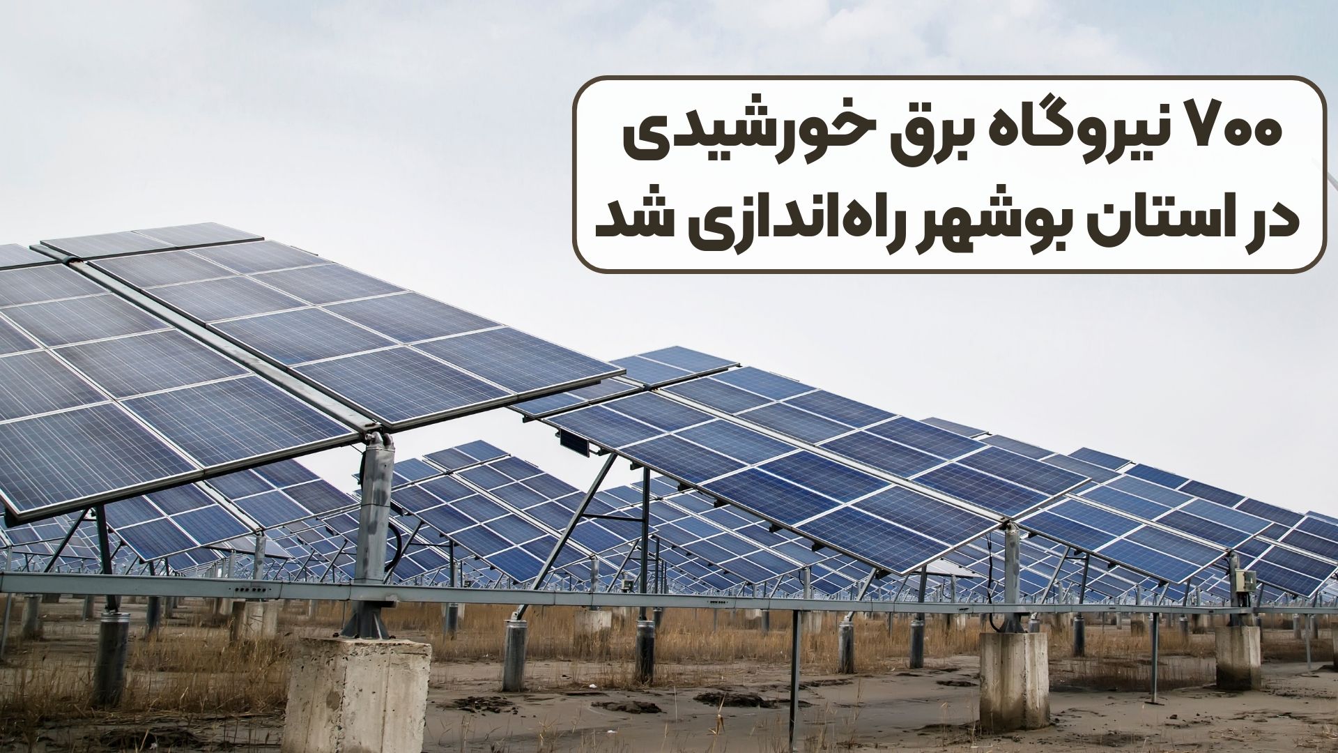 ۷۰۰ نیروگاه برق خورشیدی در استان بوشهر راه‌اندازی شد