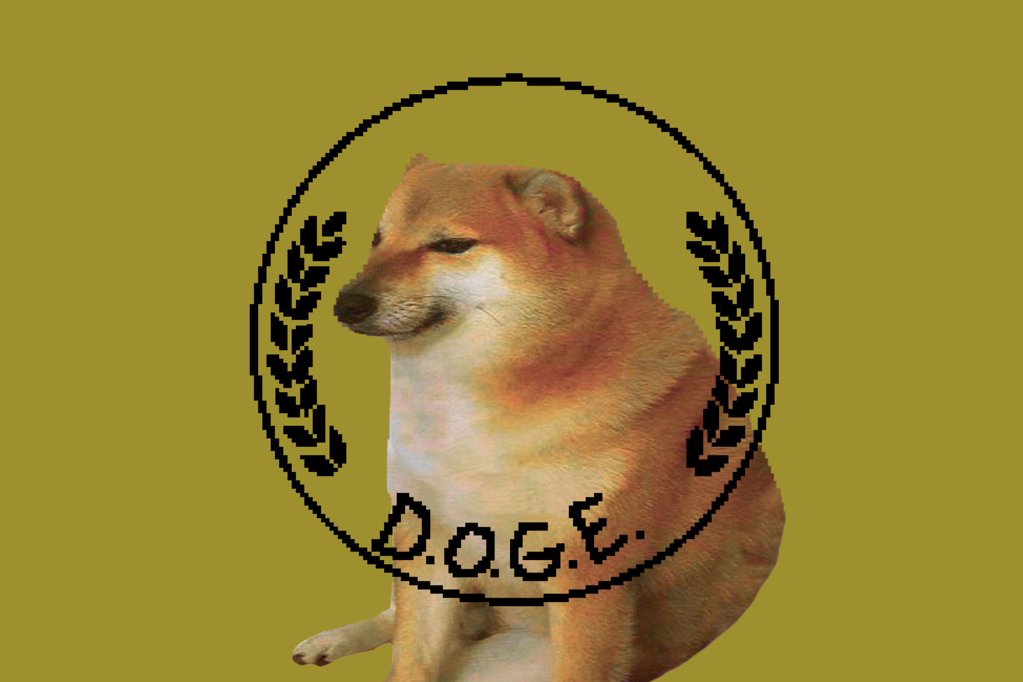 STKS486_DOGE_DEPARTMENT_e