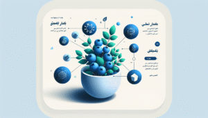 معرفی بوته بلوبری پرثمر