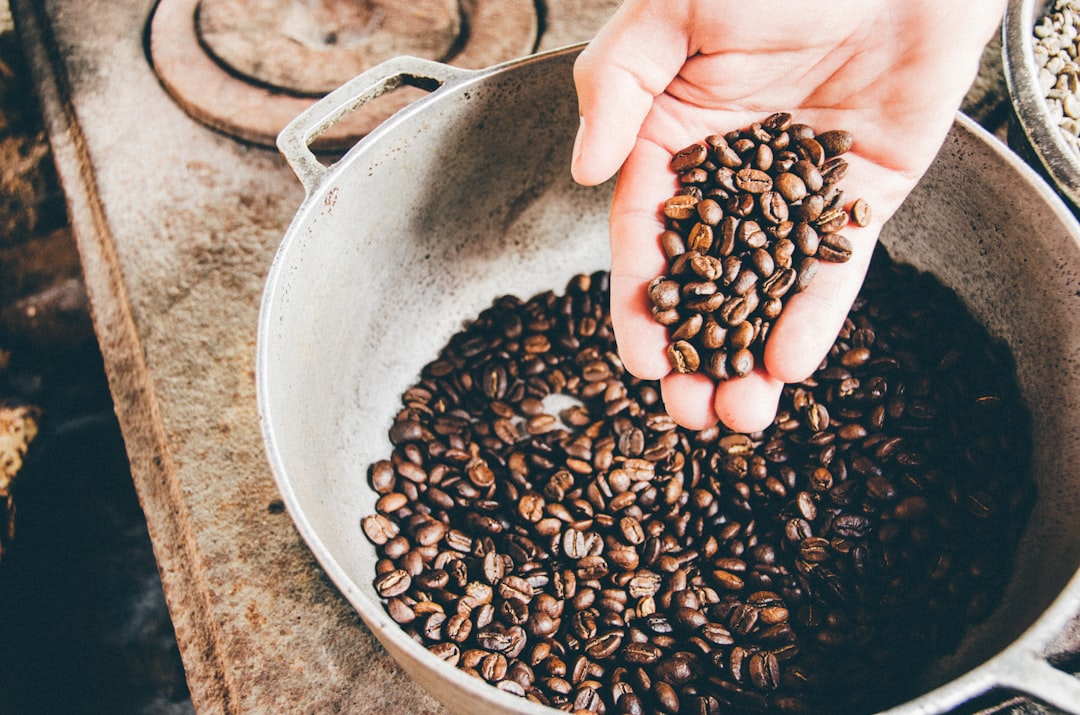 گوزن در فال قهوه
