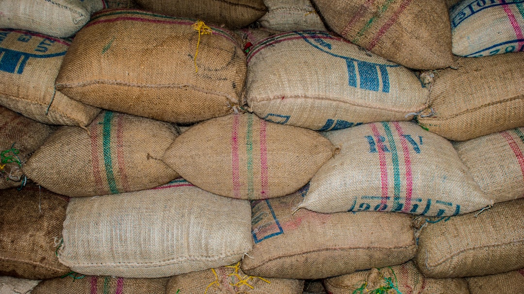 گنجشک در فال قهوه