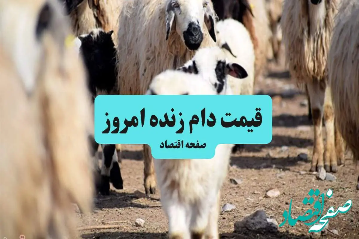 d982db8cd985d8aad8afd8a7d985d8b2d986d8afd987-1 قیمت دام زنده امروز یکشنبه ۱۵ تیر ۱۴۰۴ + جدول | قیمت گوشت گوسفند در عاشورا چند؟